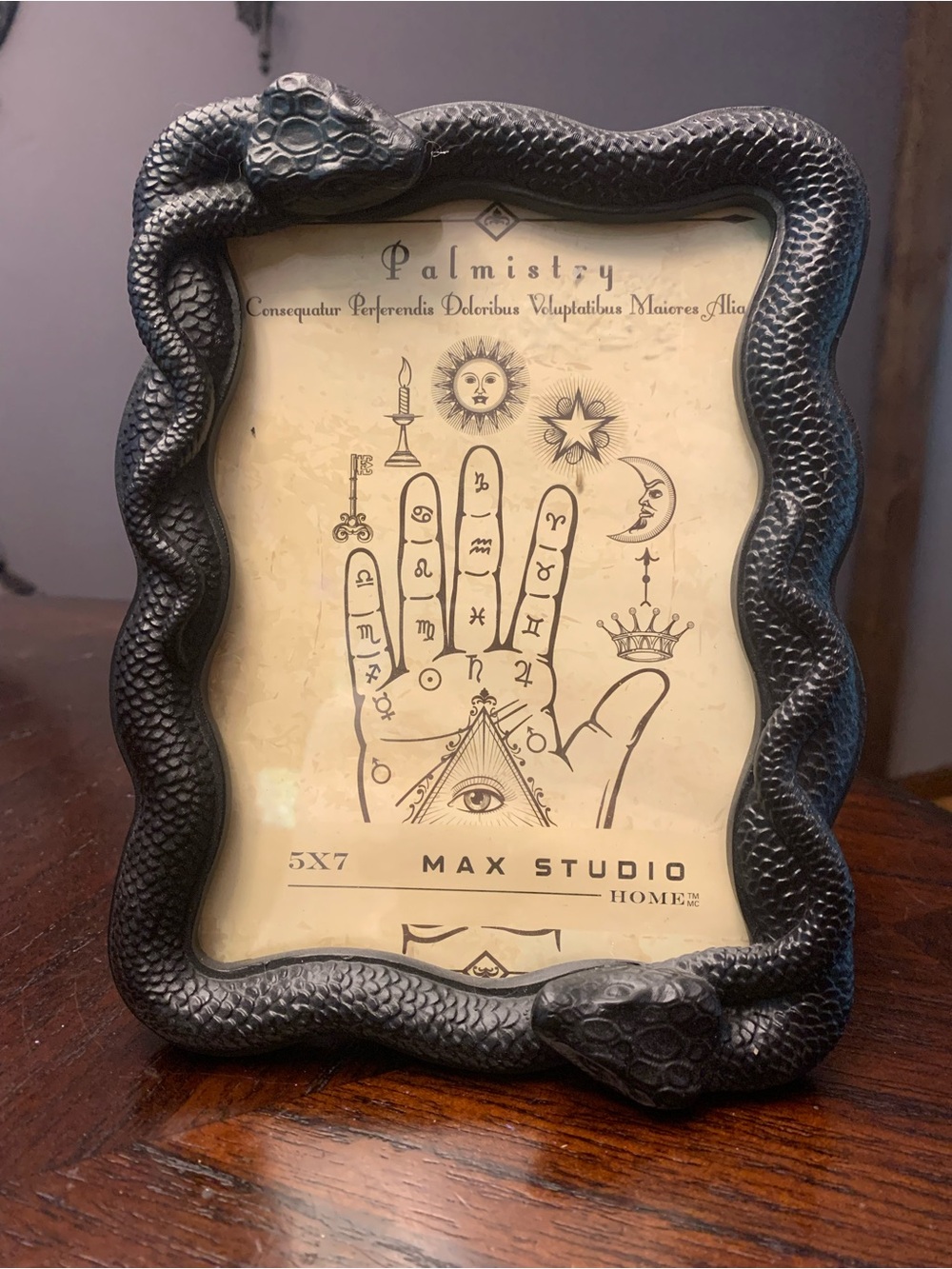 Max Studio Black Serpent Photo Frame